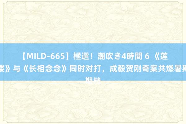 【MILD-665】極選！潮吹き4時間 6 《莲花楼》与《长相念念》同时对打，成毅贺刚奇案共燃暑期档