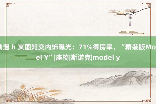 动漫 h 岚图知交内饰曝光：71%得房率，“精装版Model Y”|座椅|斯诺克|model y