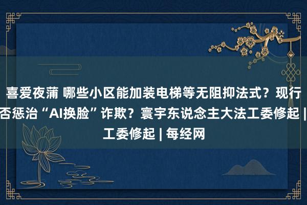 喜爱夜蒲 哪些小区能加装电梯等无阻抑法式？现行法律能否惩治“AI换脸”诈欺？寰宇东说念主大法工委修起 | 每经网