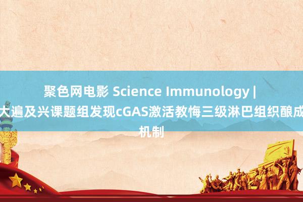 聚色网电影 Science Immunology | 中科大遍及兴课题组发现cGAS激活教悔三级淋巴组织酿成机制