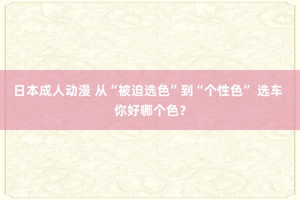 日本成人动漫 从“被迫选色”到“个性色” 选车 你好哪个色？