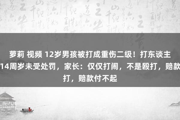 萝莉 视频 12岁男孩被打成重伤二级！打东谈主者未满14周岁未受处罚，家长：仅仅打闹，不是殴打，赔款付不起