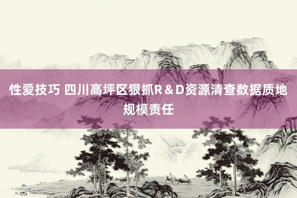 性爱技巧 四川高坪区狠抓R＆D资源清查数据质地规模责任