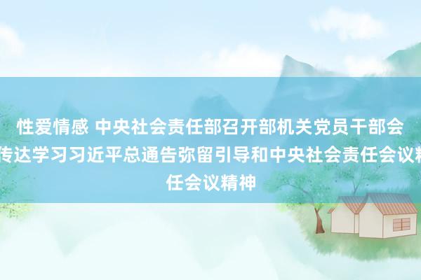 性爱情感 中央社会责任部召开部机关党员干部会议 传达学习习近平总通告弥留引导和中央社会责任会议精神